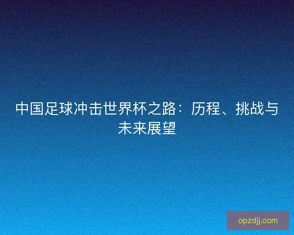 中国足球冲击世界杯之路:历程、挑战与未来展望 中国足球冲击世界杯之路:历程、挑战与未来展望