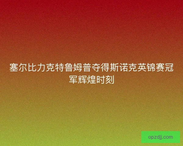 塞尔比力克特鲁姆普夺得斯诺克英锦赛冠军辉煌时刻
