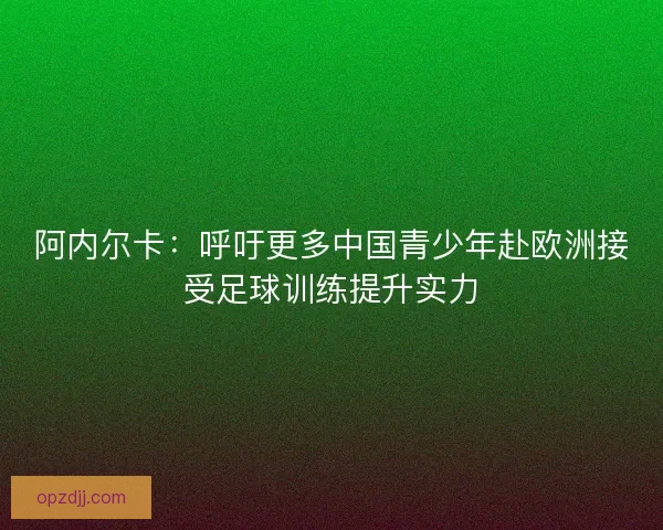 阿内尔卡:呼吁更多中国青少年赴欧洲接受足球训练提升实力 阿内尔卡:呼吁更多中国青少年赴欧洲接受足球训练提升实力